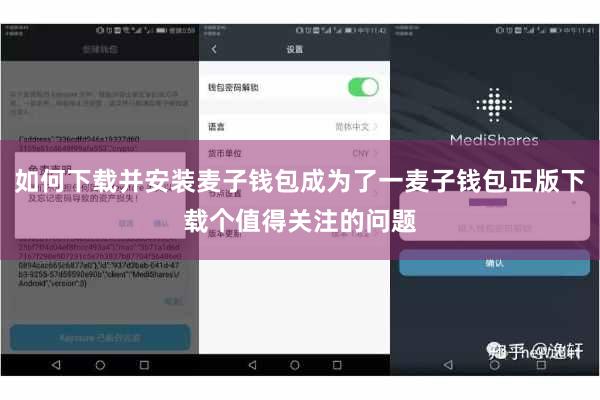 如何下载并安装麦子钱包成为了一麦子钱包正版下载个值得关注的问题