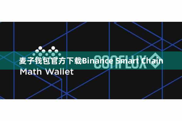 麦子钱包官方下载Binance Smart Chain