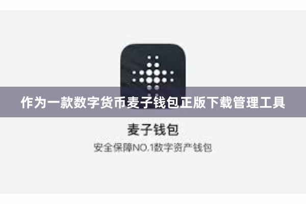 作为一款数字货币麦子钱包正版下载管理工具