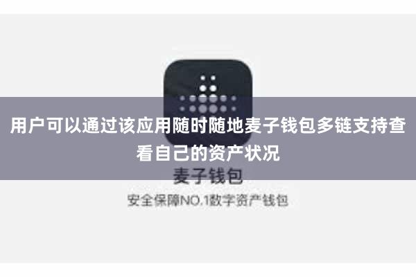 用户可以通过该应用随时随地麦子钱包多链支持查看自己的资产状况