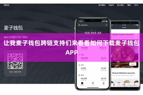 让我麦子钱包跨链支持们来看看如何下载麦子钱包APP