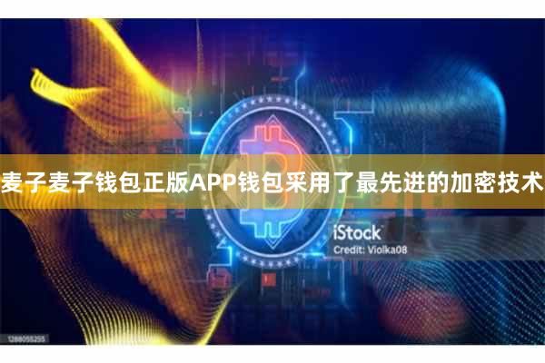 麦子麦子钱包正版APP钱包采用了最先进的加密技术