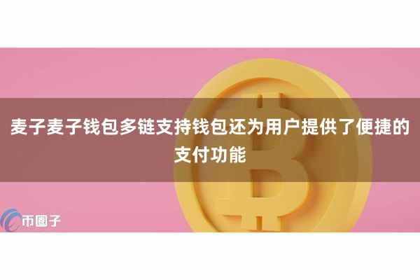麦子麦子钱包多链支持钱包还为用户提供了便捷的支付功能
