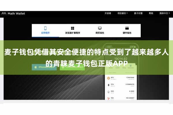 麦子钱包凭借其安全便捷的特点受到了越来越多人的青睐麦子钱包正版APP