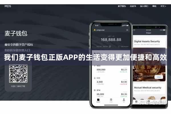 我们麦子钱包正版APP的生活变得更加便捷和高效
