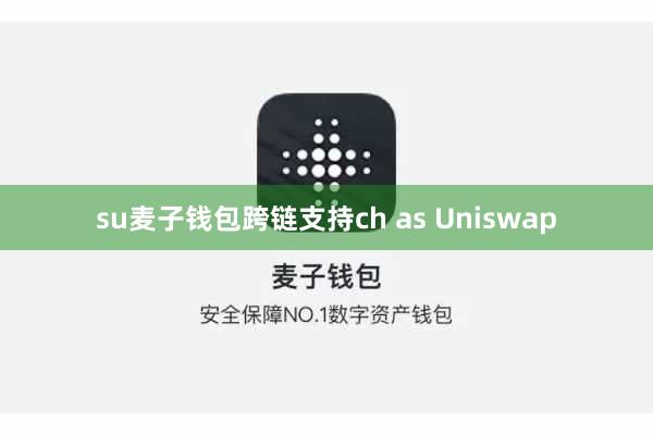 su麦子钱包跨链支持ch as Uniswap