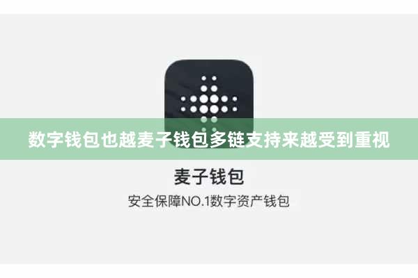 数字钱包也越麦子钱包多链支持来越受到重视
