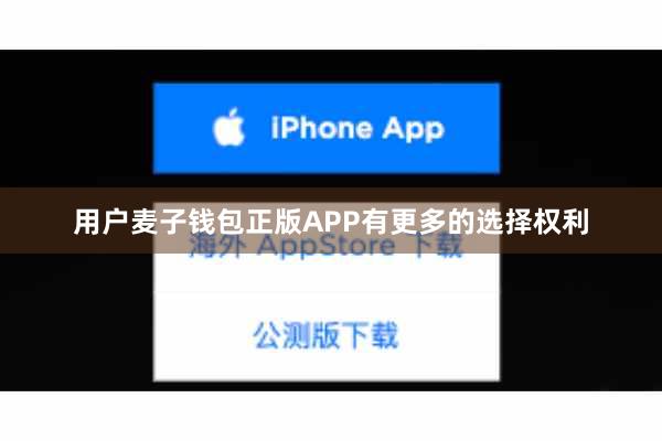 用户麦子钱包正版APP有更多的选择权利