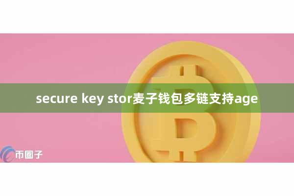 secure key stor麦子钱包多链支持age