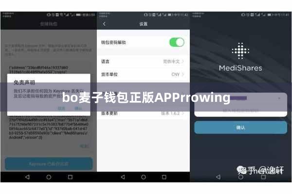 bo麦子钱包正版APPrrowing