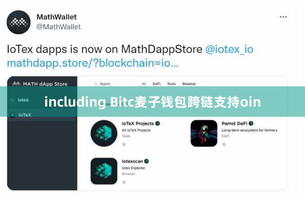 including Bitc麦子钱包跨链支持oin