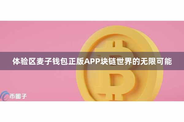 体验区麦子钱包正版APP块链世界的无限可能