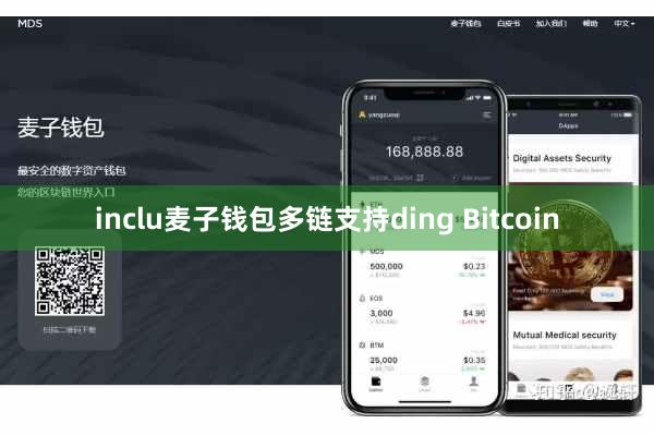 inclu麦子钱包多链支持ding Bitcoin