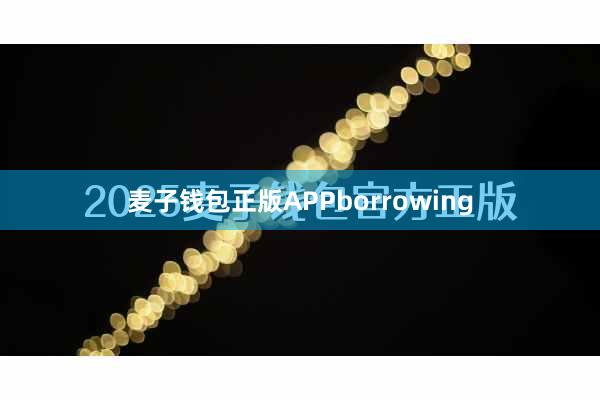 麦子钱包正版APPborrowing