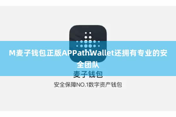 M麦子钱包正版APPathWallet还拥有专业的安全团队