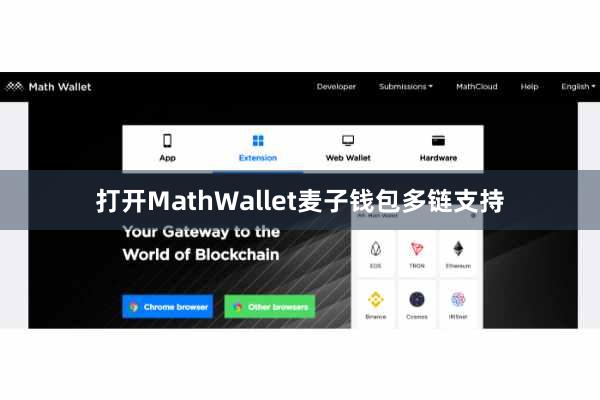 打开MathWallet麦子钱包多链支持