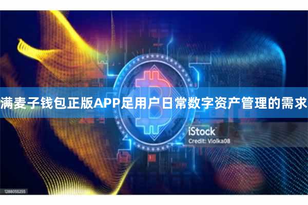 满麦子钱包正版APP足用户日常数字资产管理的需求