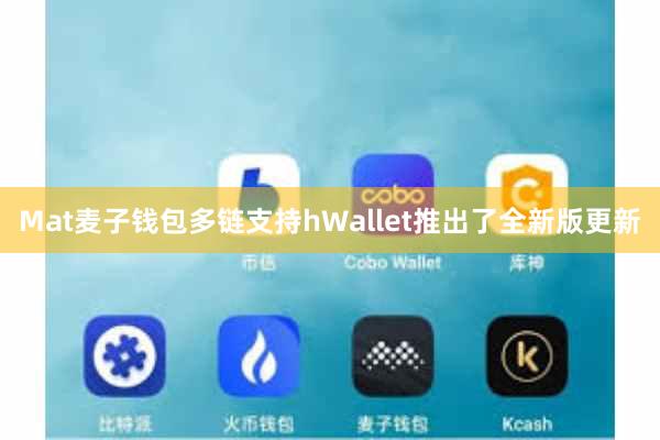 Mat麦子钱包多链支持hWallet推出了全新版更新