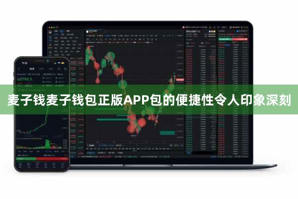 麦子钱麦子钱包正版APP包的便捷性令人印象深刻