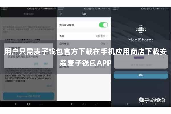 用户只需麦子钱包官方下载在手机应用商店下载安装麦子钱包APP