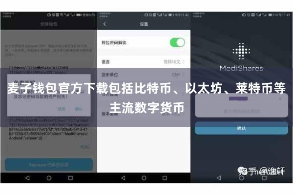 麦子钱包官方下载包括比特币、以太坊、莱特币等主流数字货币