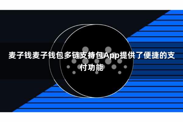 麦子钱麦子钱包多链支持包App提供了便捷的支付功能