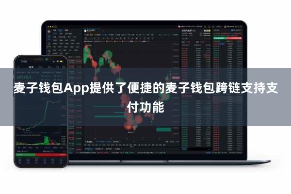 麦子钱包App提供了便捷的麦子钱包跨链支持支付功能