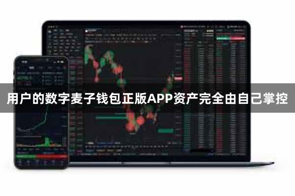 用户的数字麦子钱包正版APP资产完全由自己掌控