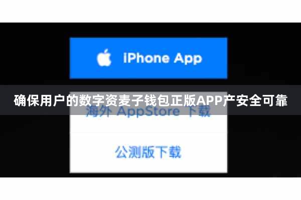 确保用户的数字资麦子钱包正版APP产安全可靠