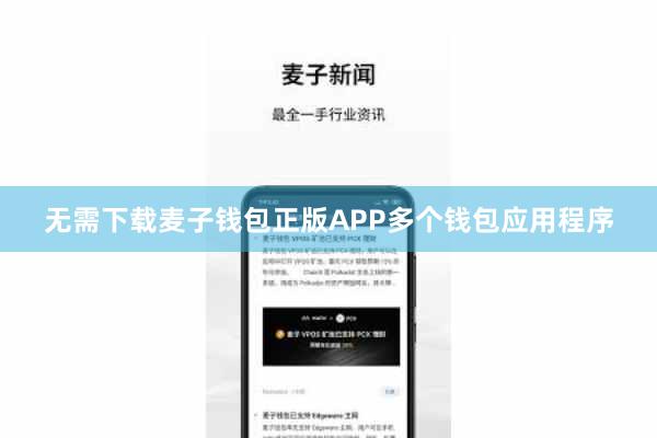 无需下载麦子钱包正版APP多个钱包应用程序