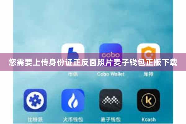 您需要上传身份证正反面照片麦子钱包正版下载