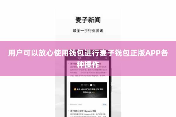 用户可以放心使用钱包进行麦子钱包正版APP各种操作